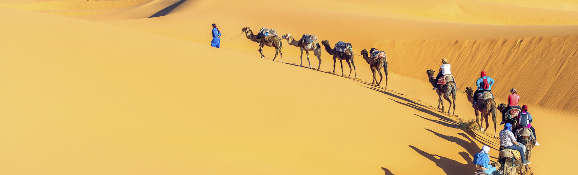 Kamelkarawane in der Sahara Wüste, Marokko