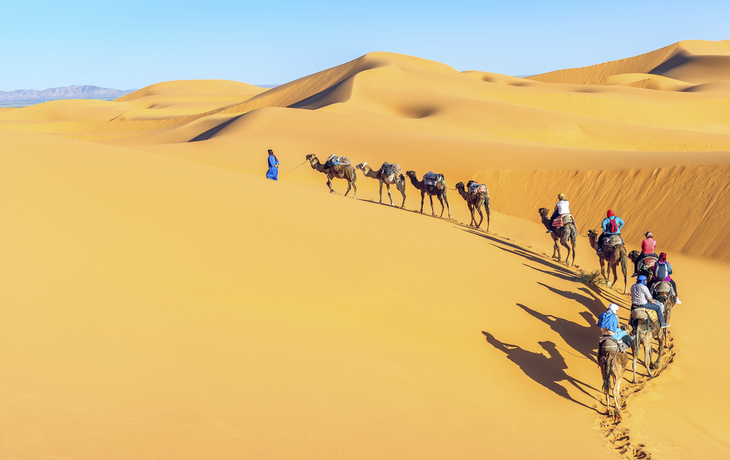 Kamelkarawane in der Sahara Wüste, Marokko