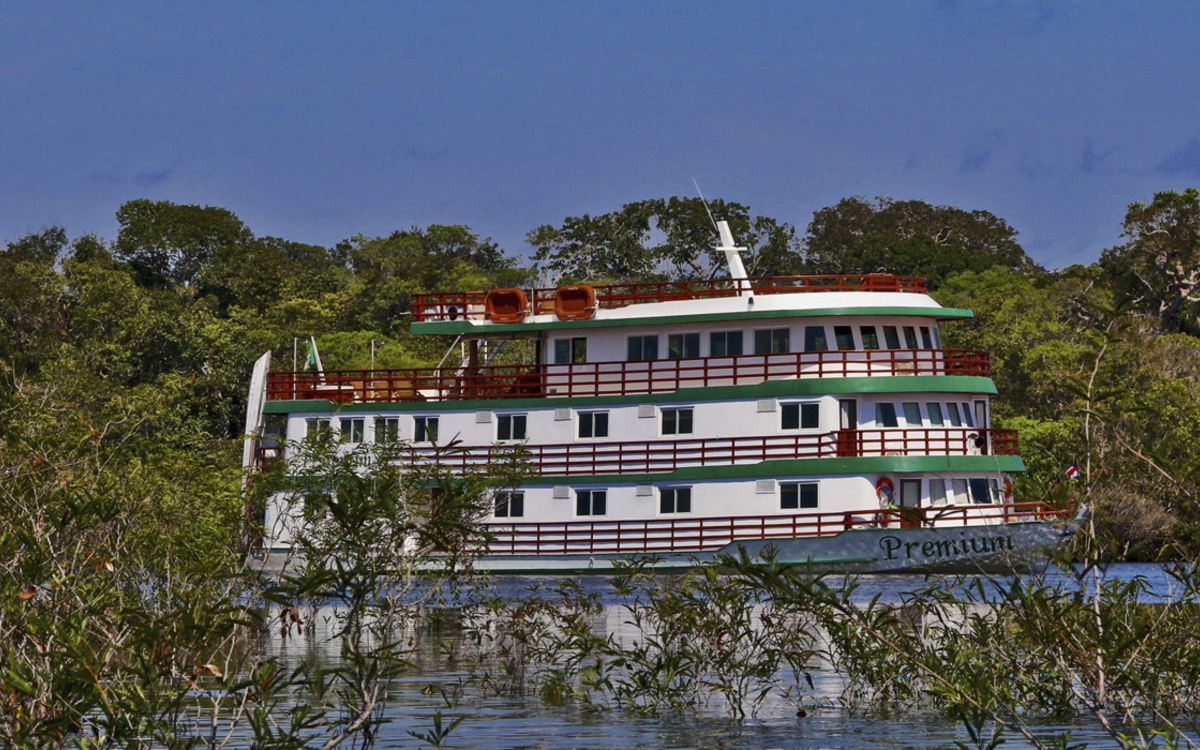 Amazon Clipper Premium