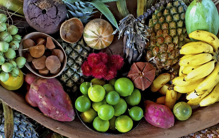 Auswahl an exotischen Früchten