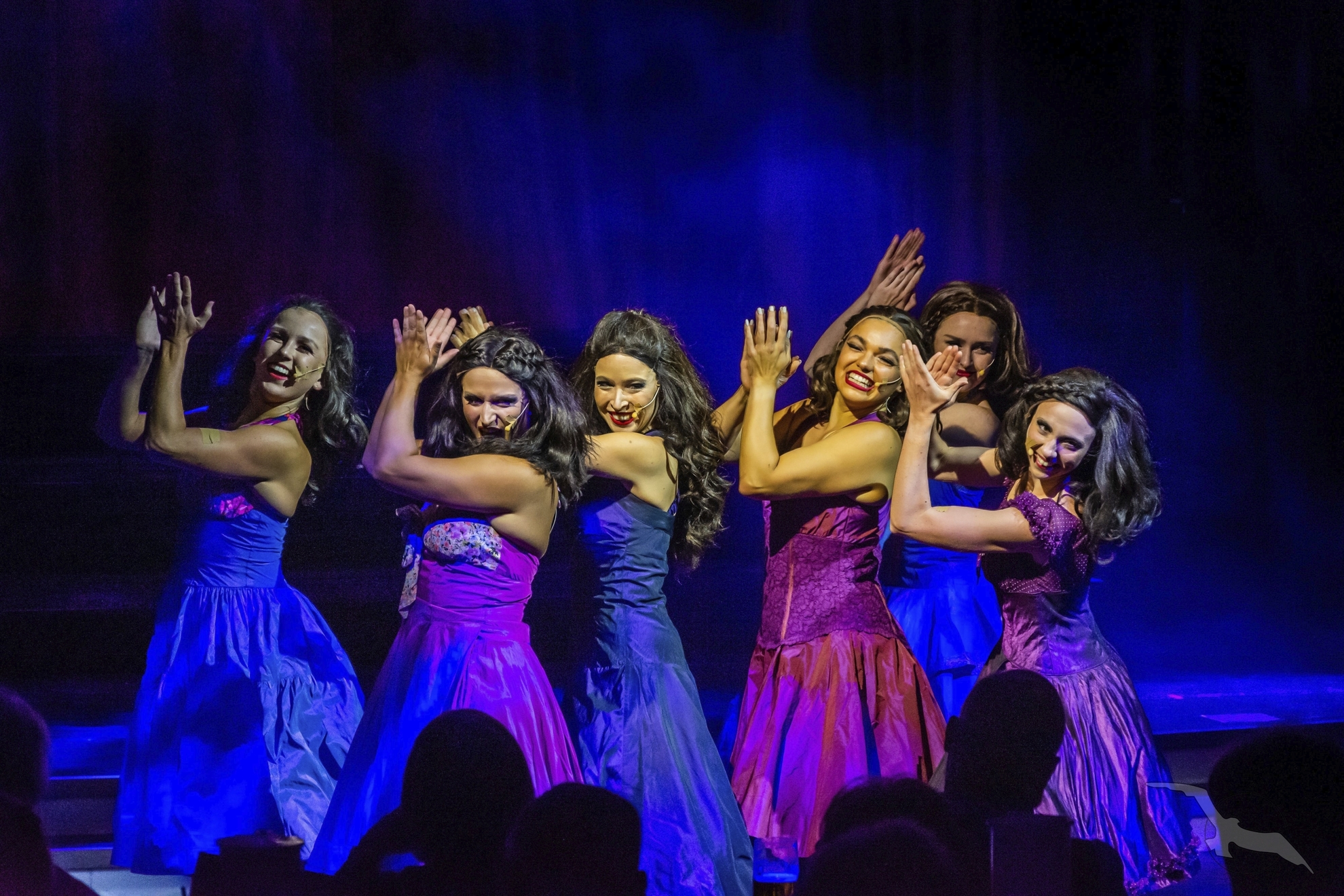 Showtime auf MS Amadea