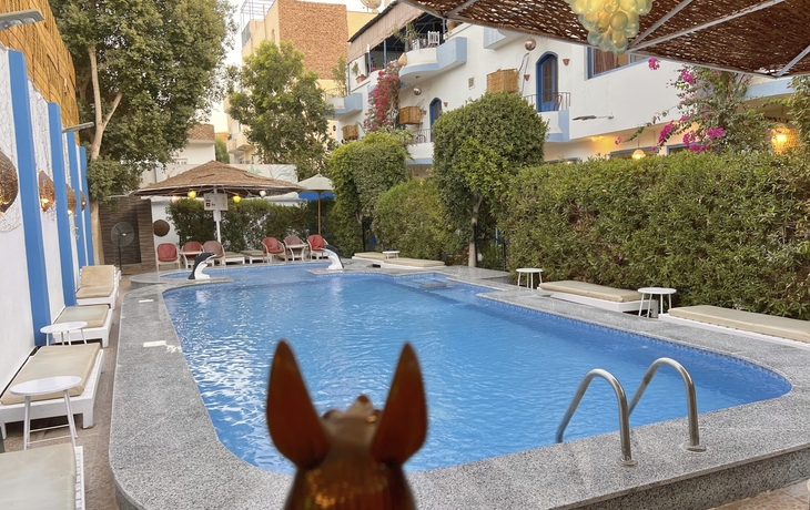 El Gezira Garden Hotel, Luxor