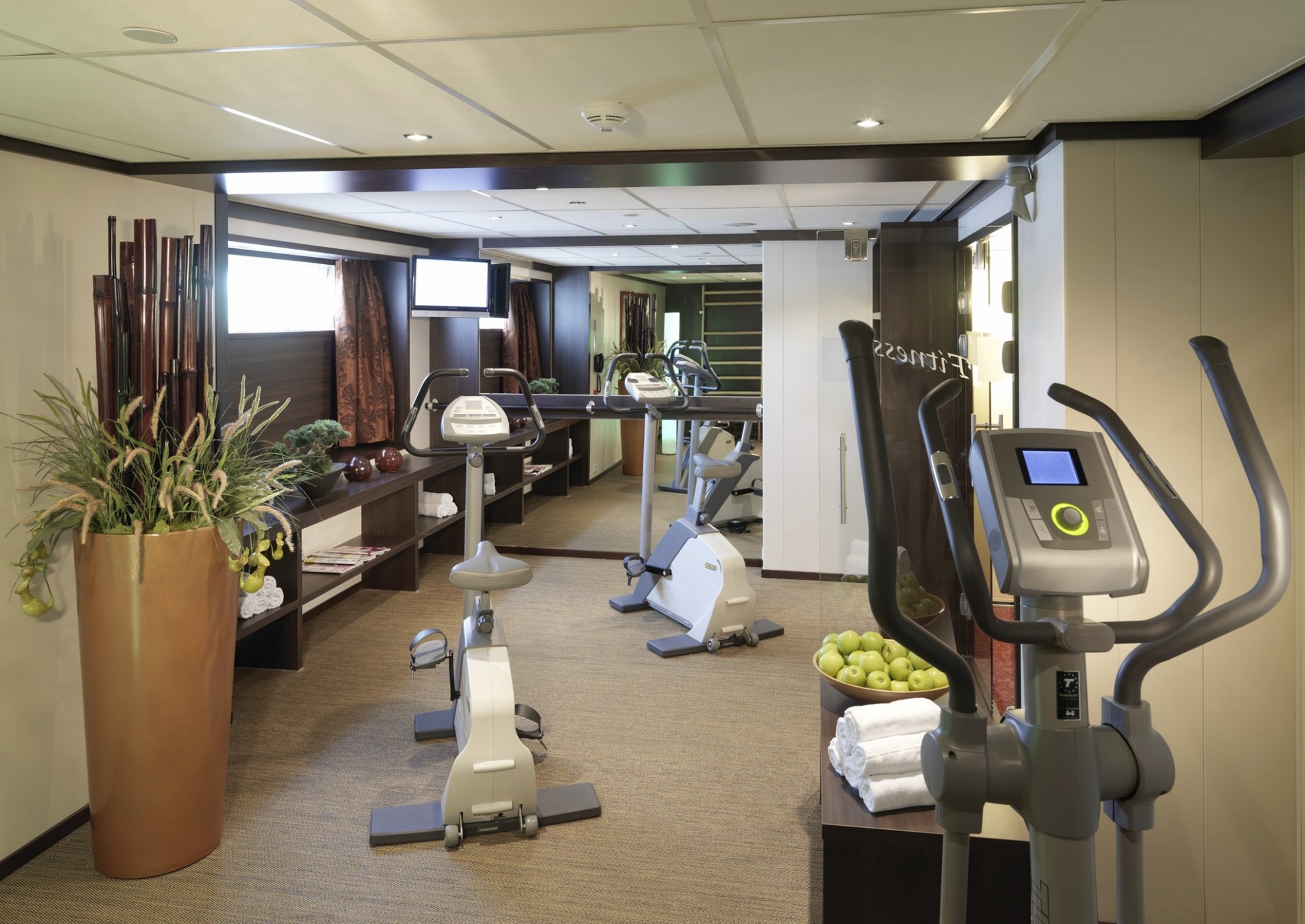 Fitnessraum auf dem Flussschiff Amadeus Diamond