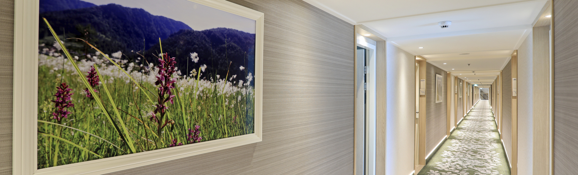 Flur auf dem Oriondeck, MS Alena