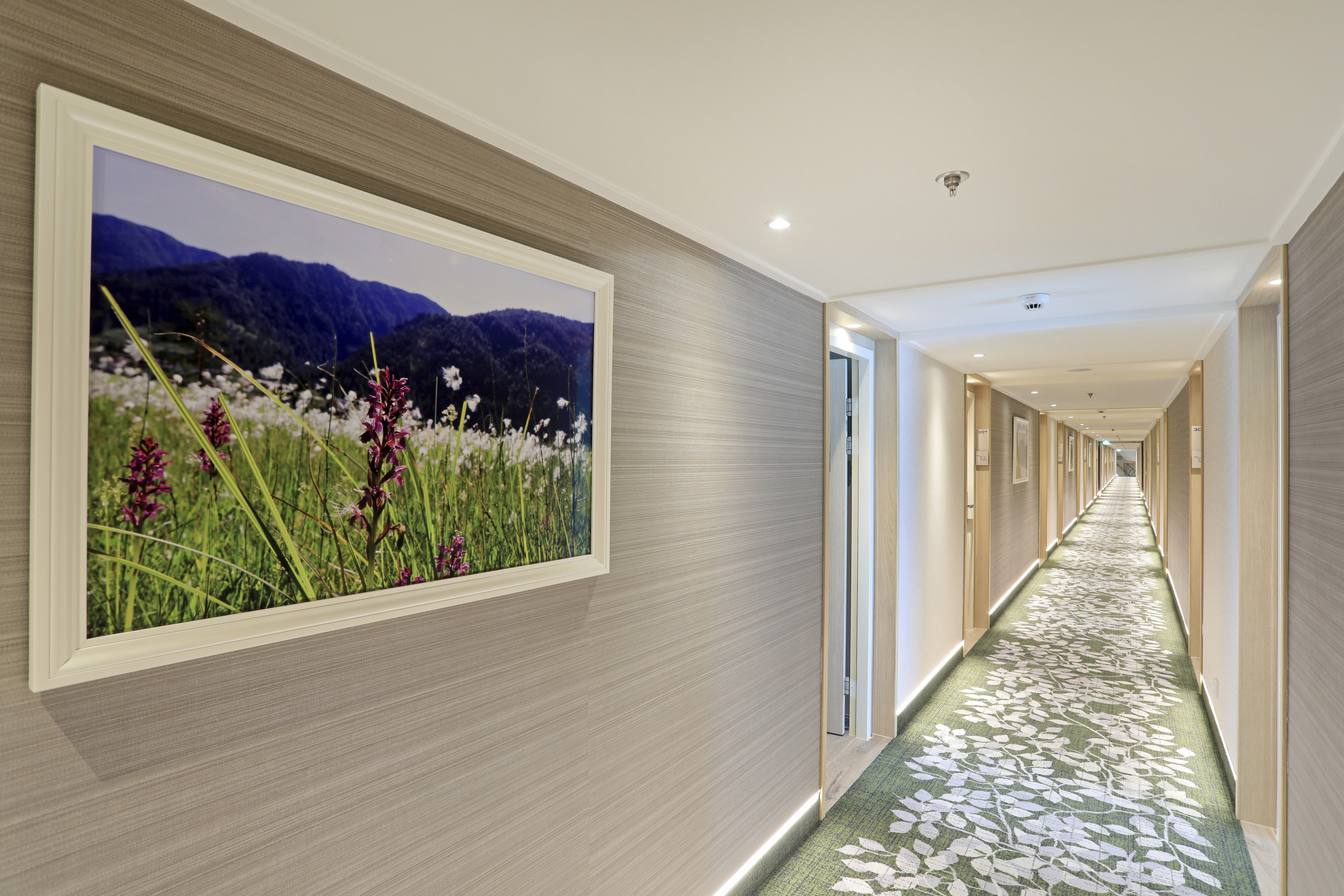 Flur auf dem Oriondeck, MS Alena