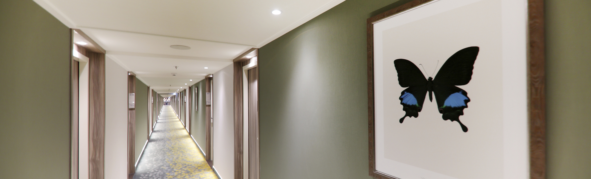 Kabinengang, MS ANTONIA