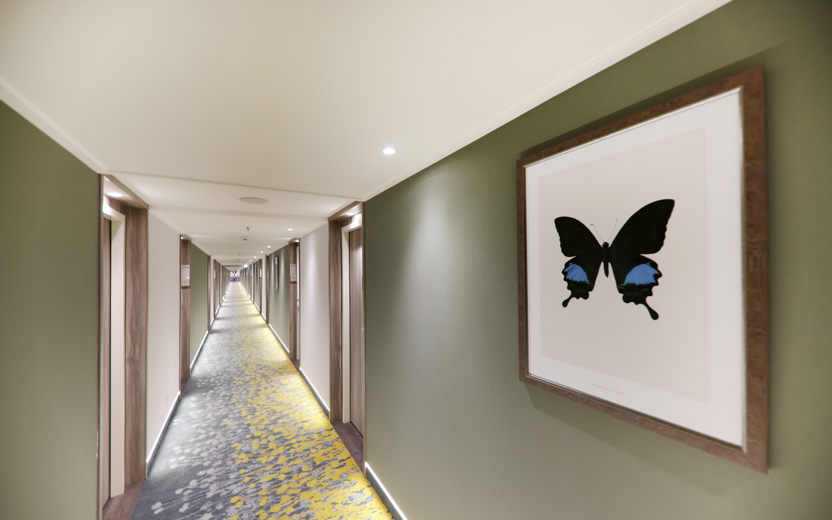 Kabinengang, MS ANTONIA