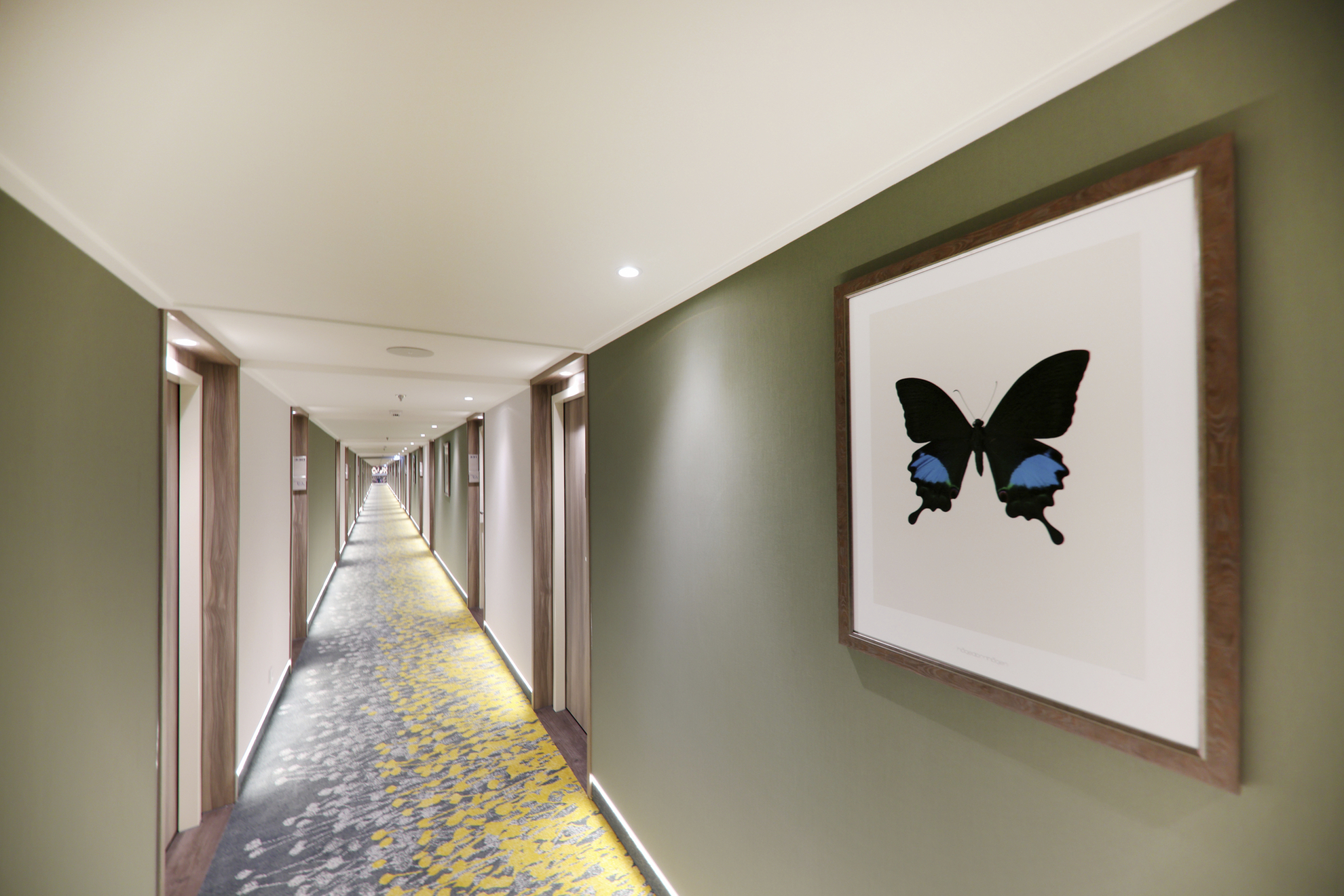 Kabinengang, MS ANTONIA