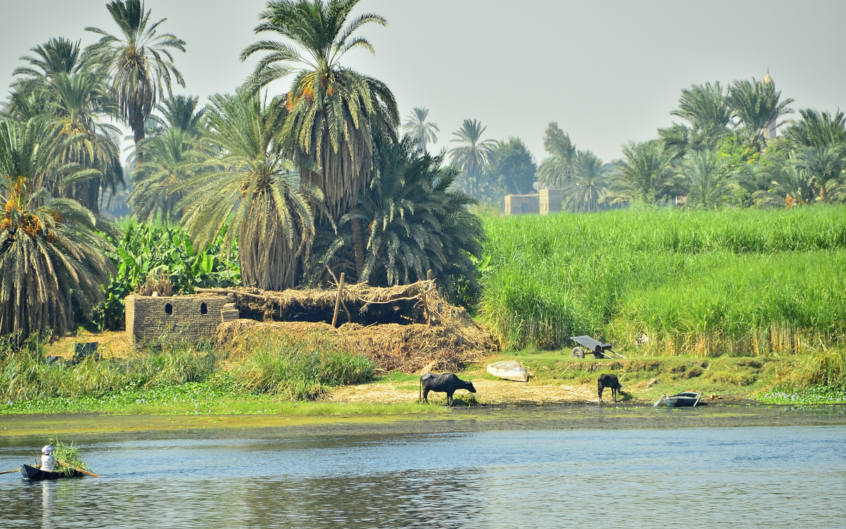Idyllische Nillandschaft hinter Wasserfront in Ägypten