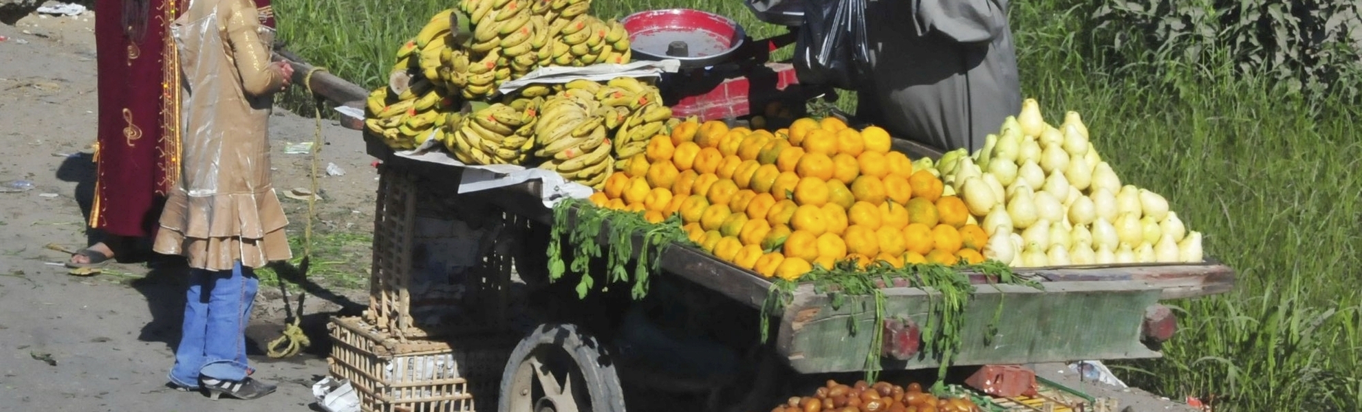 Obstwagen am Straßenrand in Ägypten