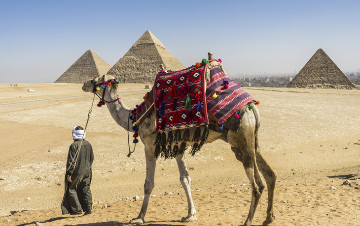 Mann läuft mit Kamel an den Pyramiden von Gizeh in Ägypten vorbei