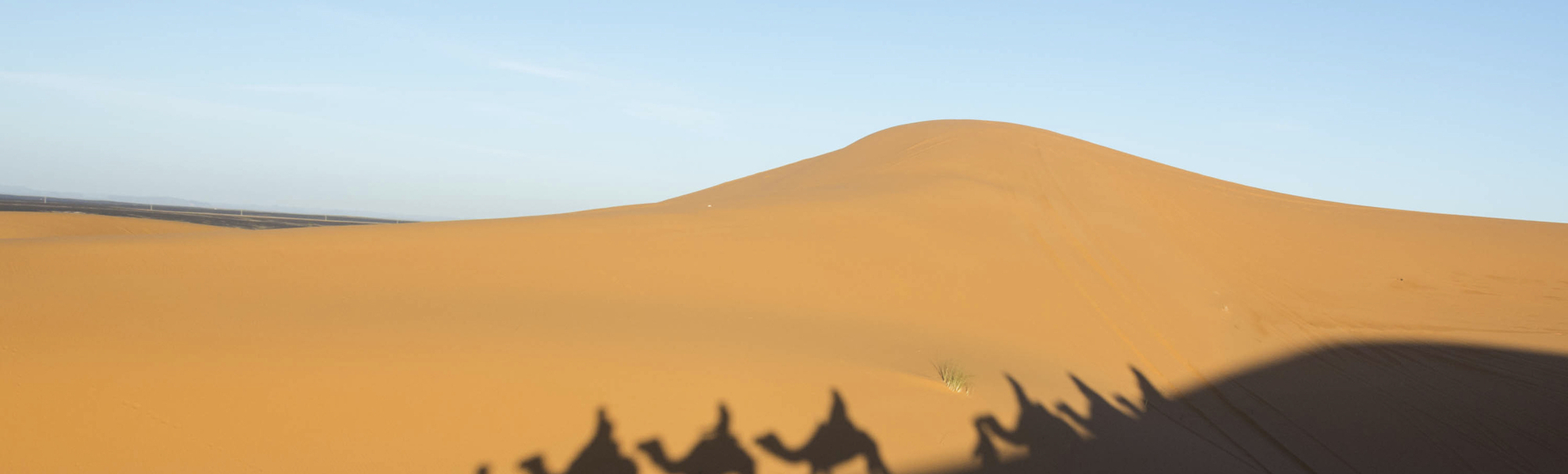 Schatten eines Kamels das durch die Sahara läuft, Tunesien