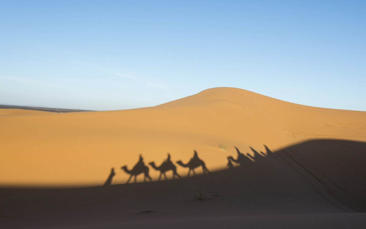 Schatten eines Kamels das durch die Sahara läuft, Tunesien