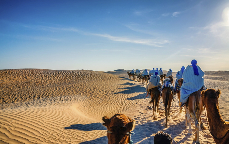 Kolonne an Kamelen durch die Sahara Wüste, Tunesien