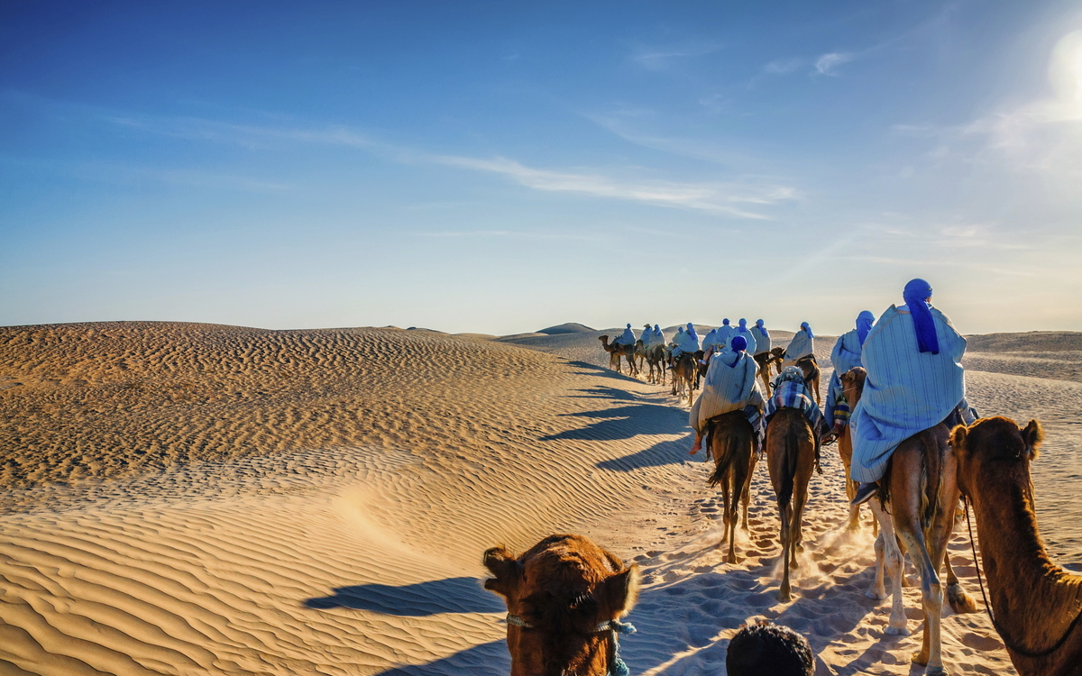 Kolonne an Kamelen durch die Sahara Wüste, Tunesien