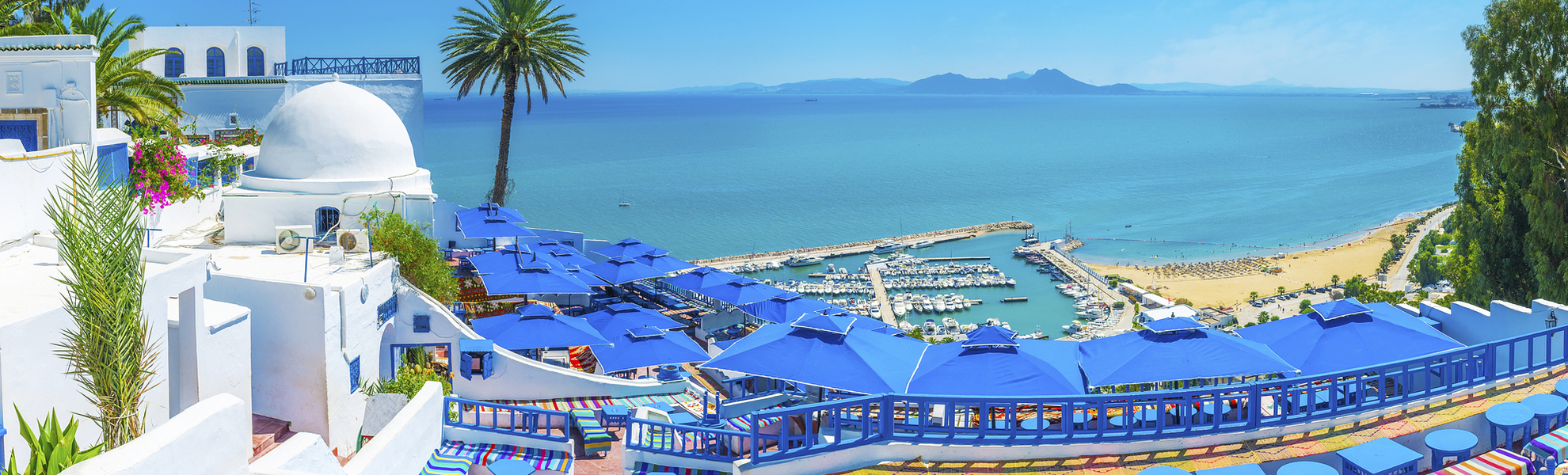 Aussicht auf den Hafen von Sidi Bou Said, Tunesien