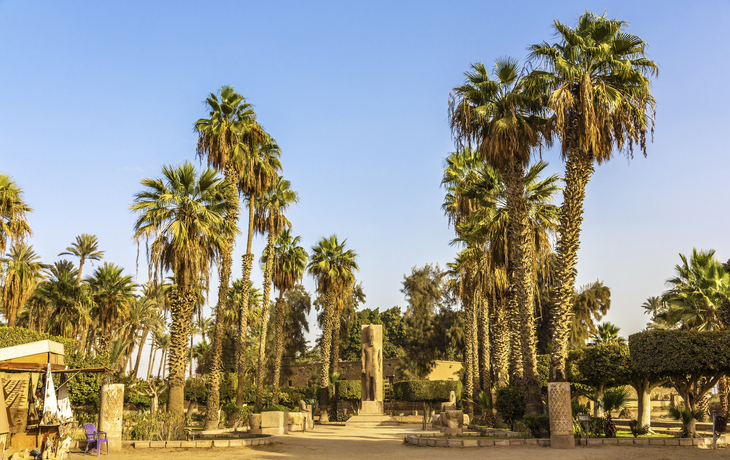 Palmengarten in Memphis, Ägypten