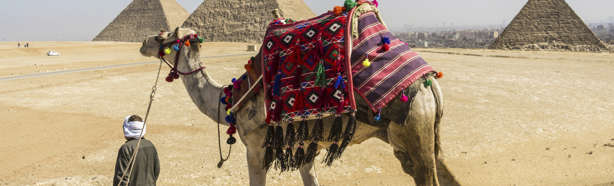 Mann läuft mit Kamel an den Pyramiden von Gizeh in Ägypten vorbei