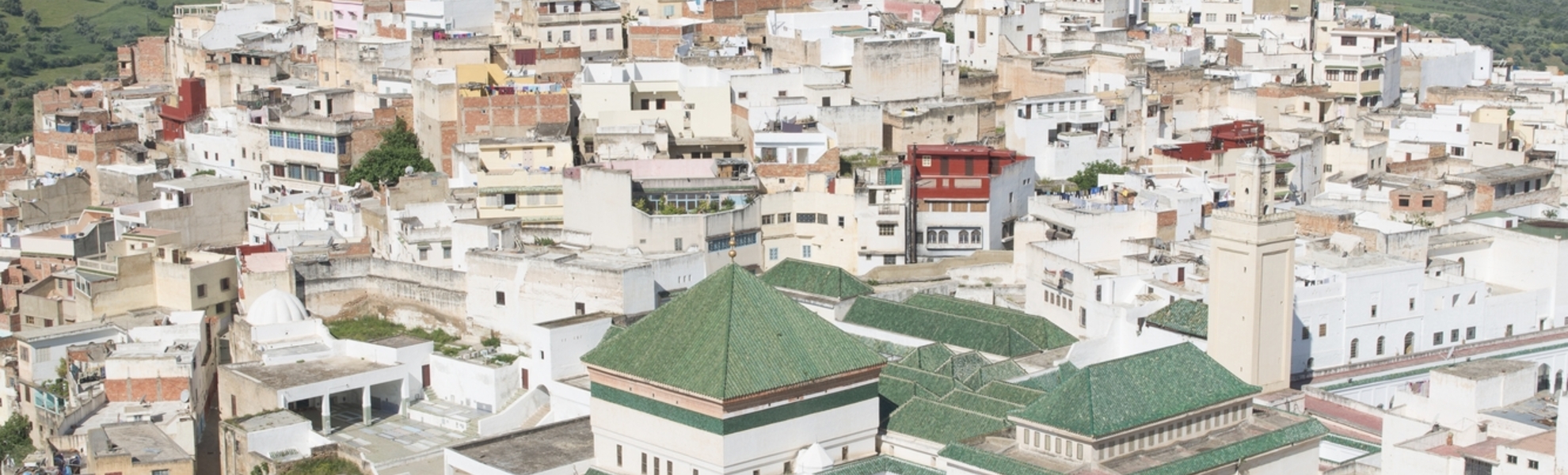 Blick über die Dächer der Stadt Moulay Idris, Marokko