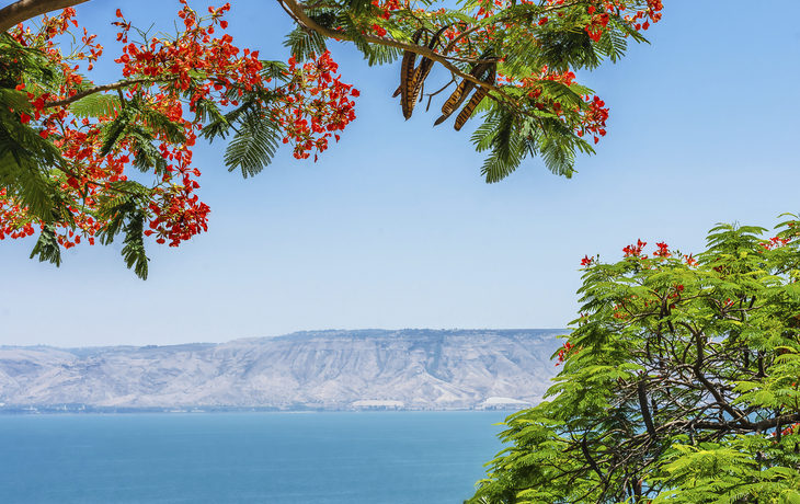 See Genezareth, Jordanien