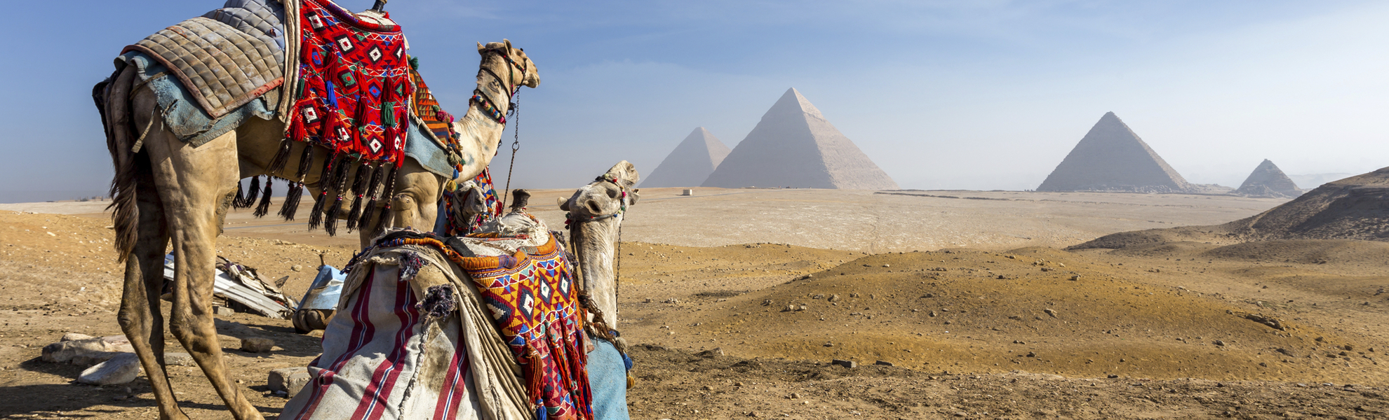 Kamele vor den Pyramiden, Aegypten