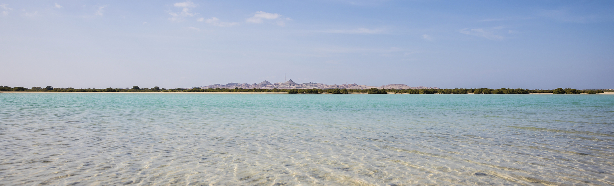 Die Insel Sir Bani Yas, V. A. Emirate