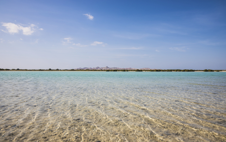 Die Insel Sir Bani Yas, V. A. Emirate