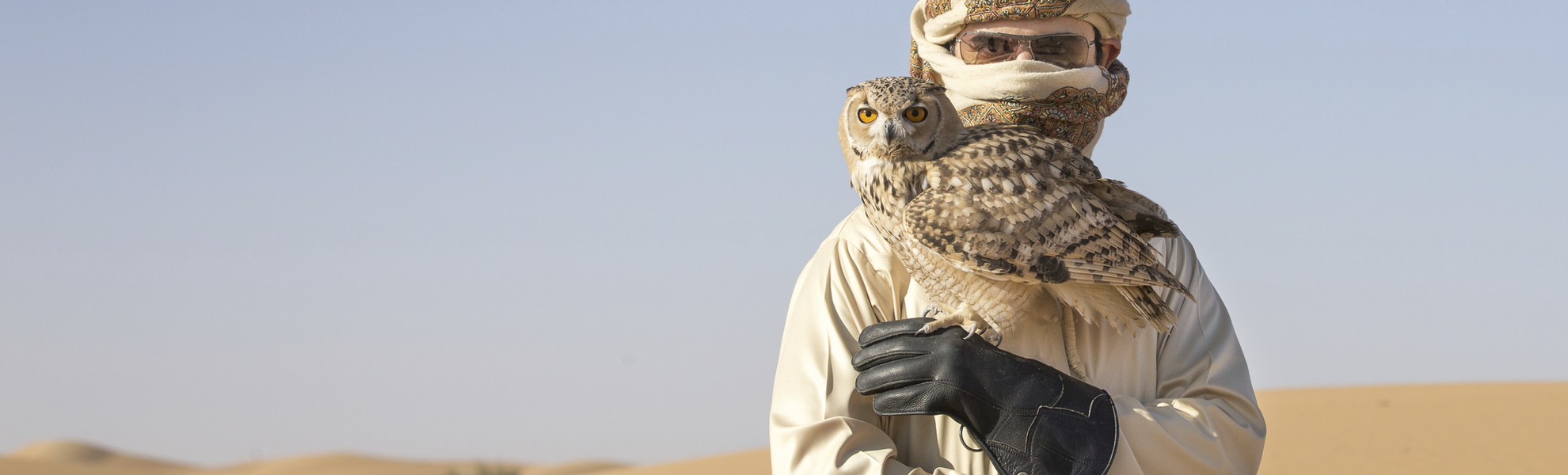 Araber mit seiner Eule in der Wüste, V. A. Emirate