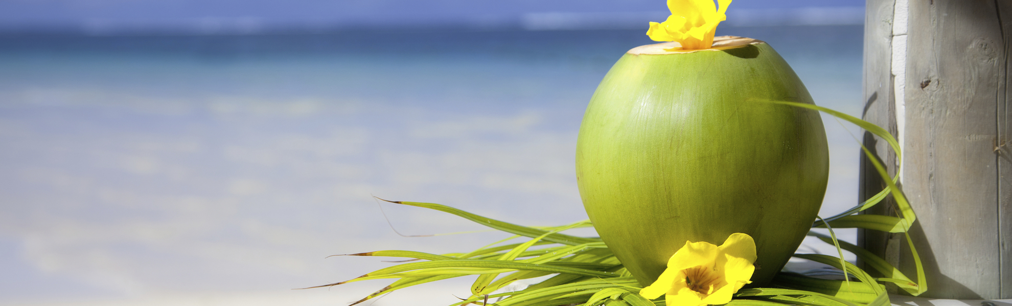Kokusnussmilch am Strand von Mauritius
