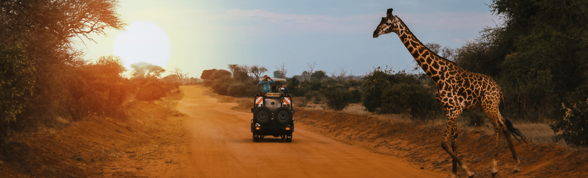 Giraffe im Tsavo Park in Mombasa, Kenia