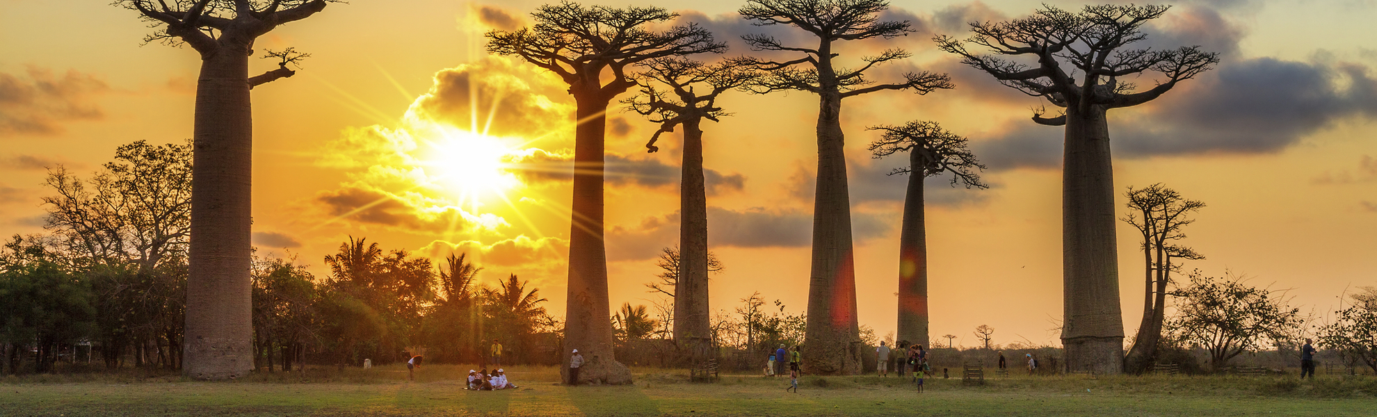 Baobaballee im Sonnenuntergang, Madagaskar