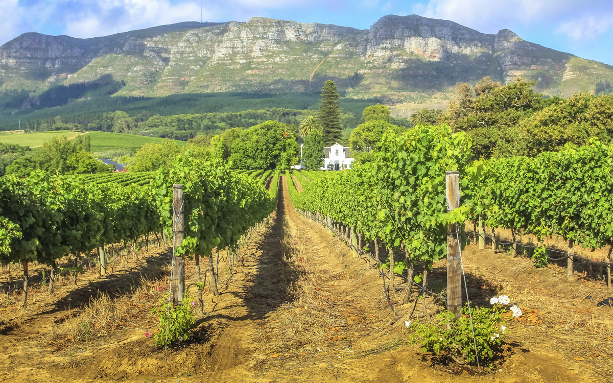 Universitätsstadt Stellenbosch, Südafrika