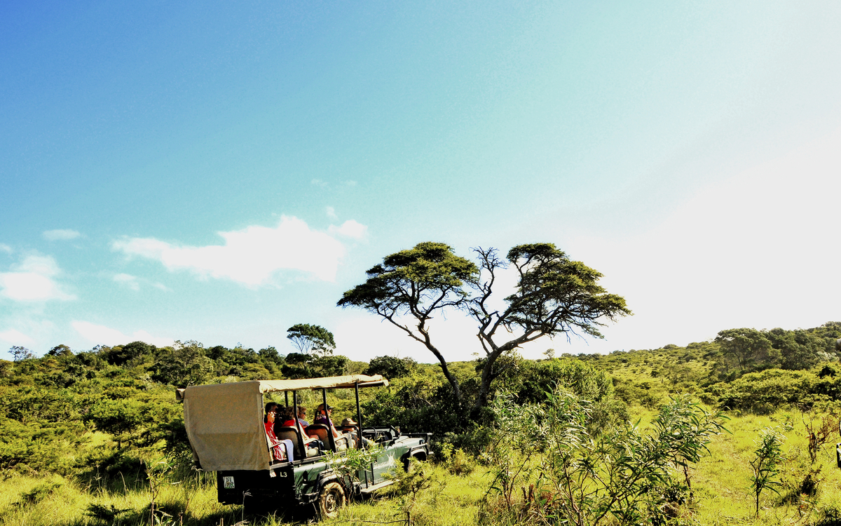 Safari Tour in Südafrika