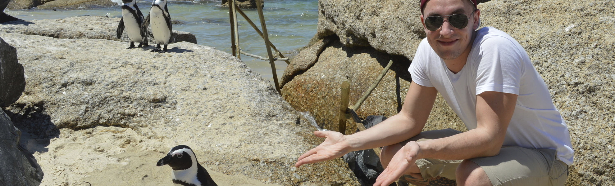 Max und Pinguin in Südafrika