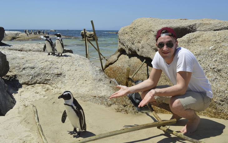 Max und Pinguin in Südafrika