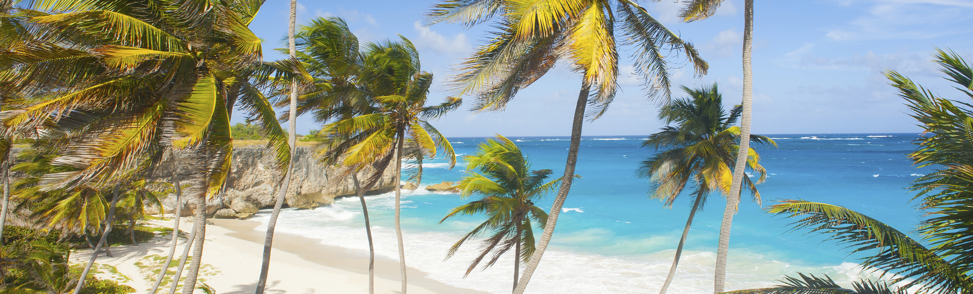 Strand und Palmen in Barbados