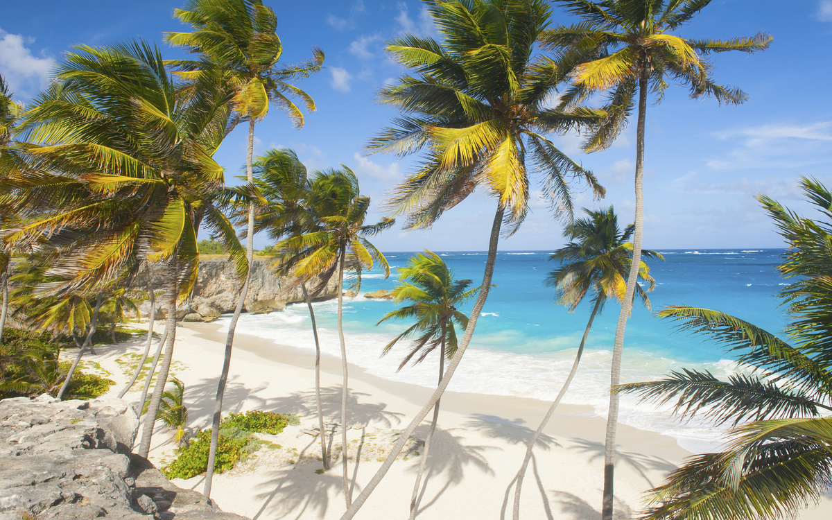 Strand und Palmen in Barbados