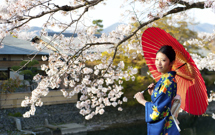 Kirschbluetenbaum, Japan