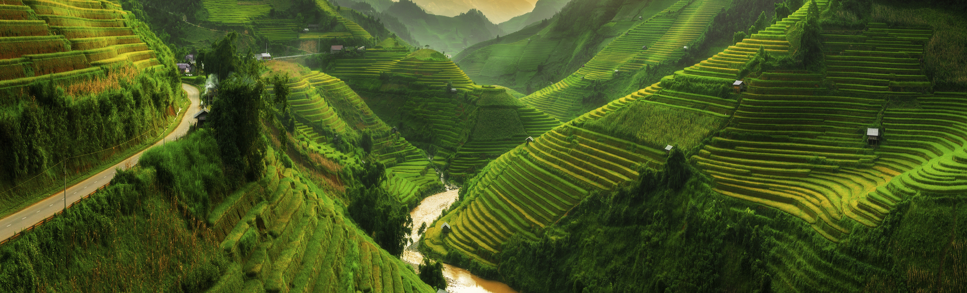 Reisfelder in Vietnam