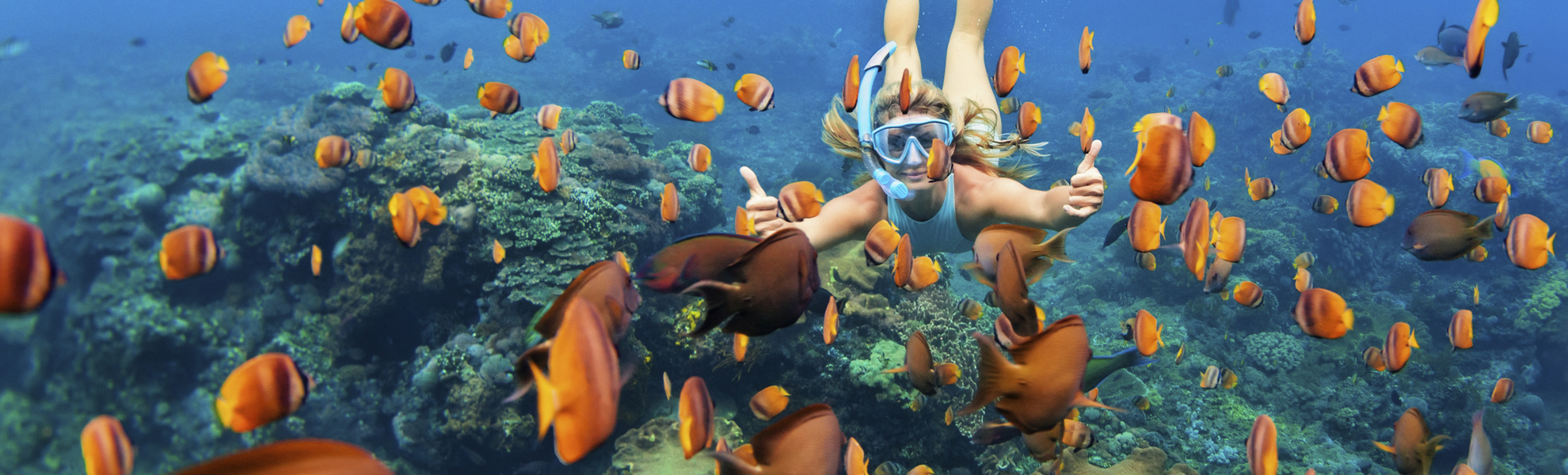 Tauchen im Korallenriff vor Phuket, Thailand