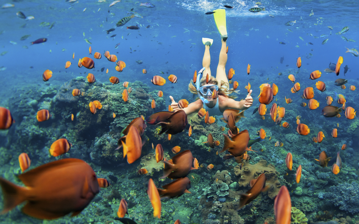 Tauchen im Korallenriff vor Phuket, Thailand