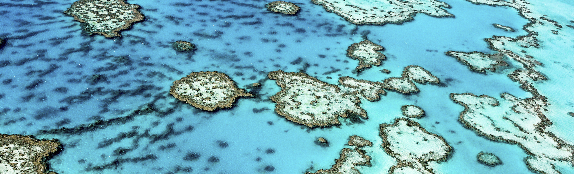 Great Barrier Reef, Australien