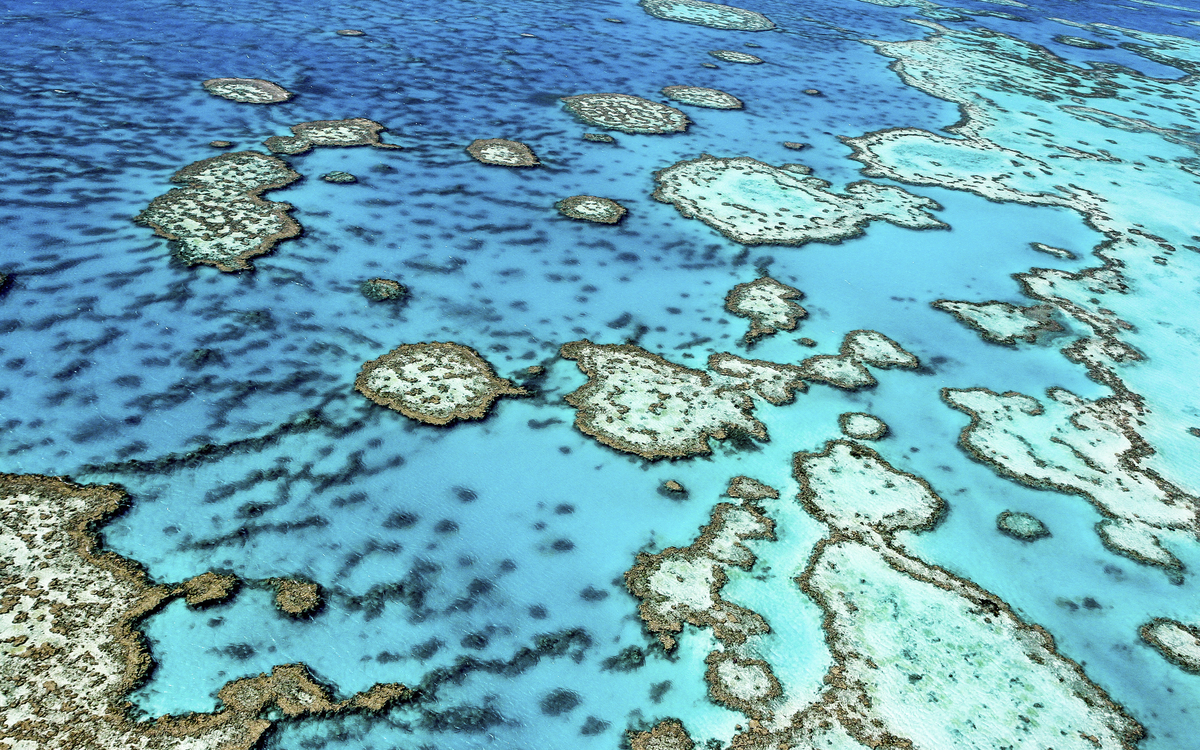 Great Barrier Reef, Australien