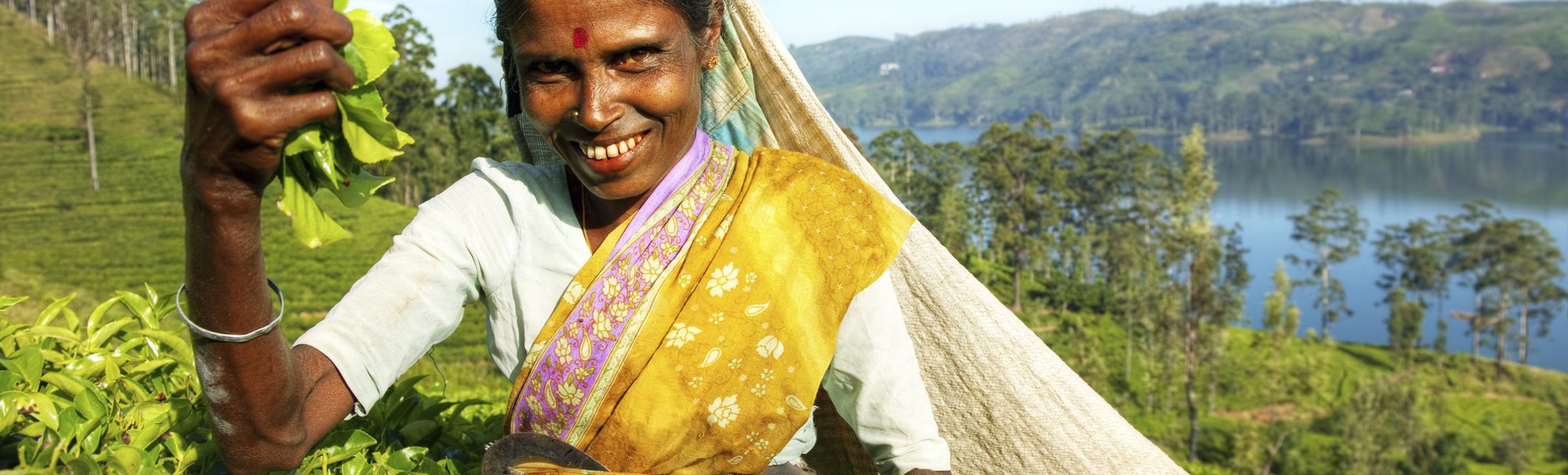 Teepflückerin auf einer Plantage, Sri Lanka