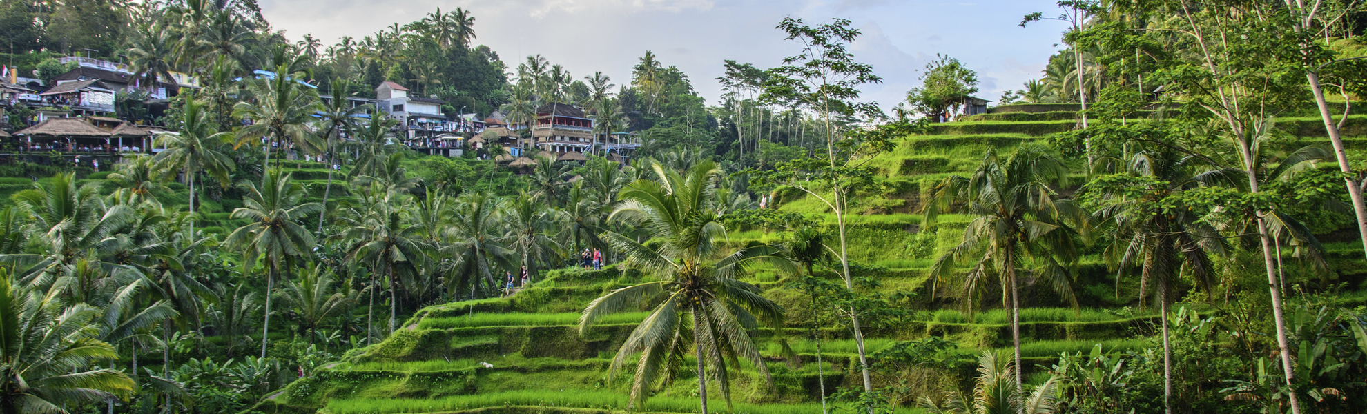 Tegallalang Reisterrassen, Bali
