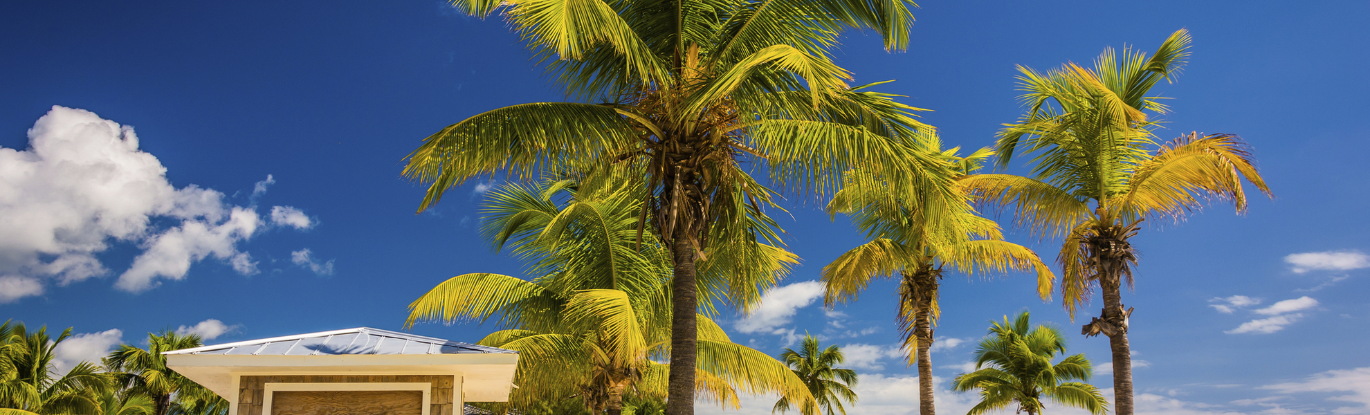 Strand von Key West, USA