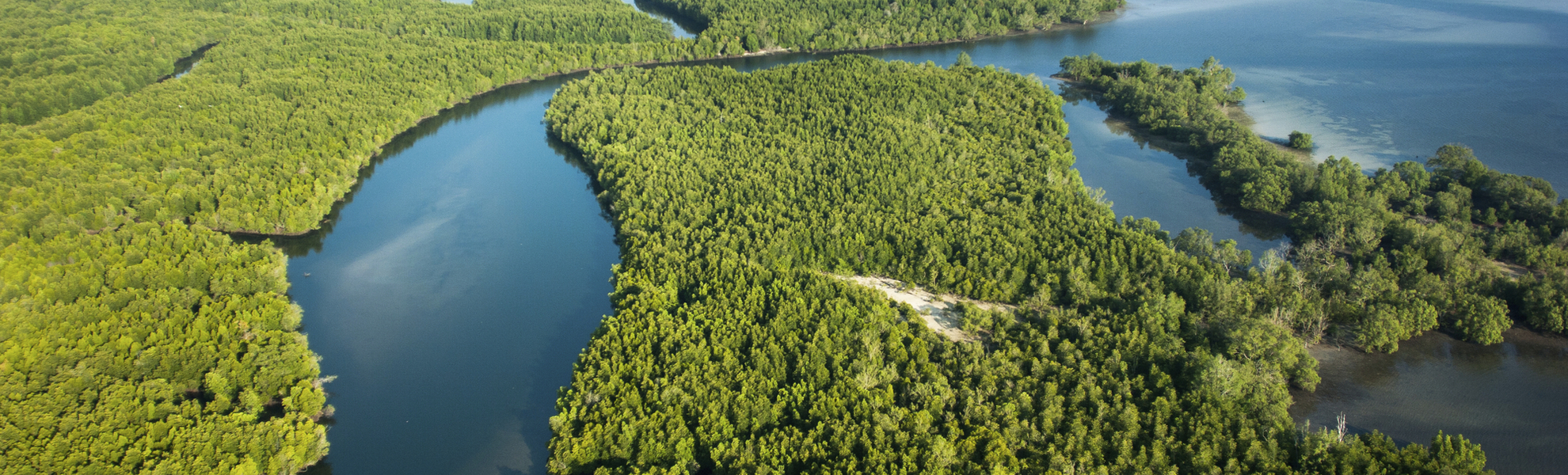 Blick über die Mangrovenwälder von Puntarenas, Costa Rica