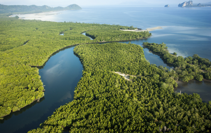Blick über die Mangrovenwälder von Puntarenas, Costa Rica