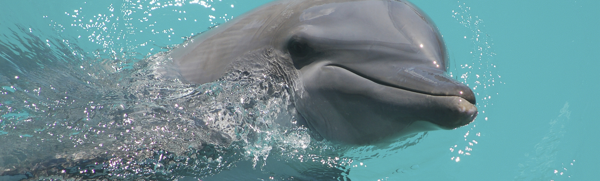 Chankanaab Park in Cozumel, Mexiko
