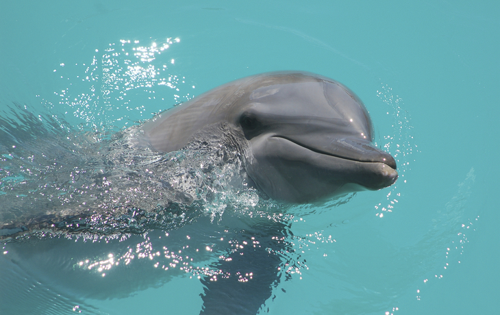 Chankanaab Park in Cozumel, Mexiko